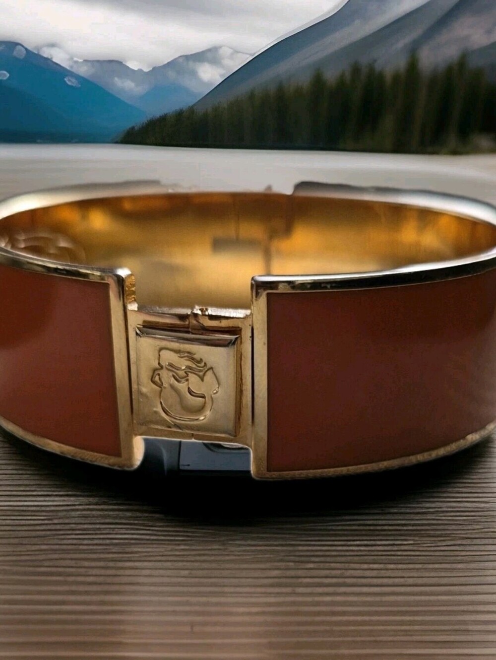 Spartina 449 Daufuskie Island Classic Orange Bangle Bracelet - Excellent